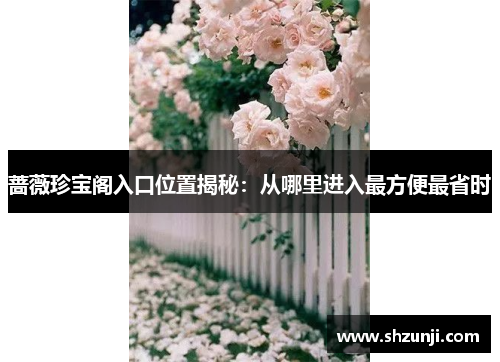 蔷薇珍宝阁入口位置揭秘：从哪里进入最方便最省时