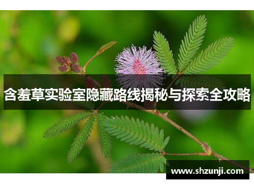 含羞草实验室隐藏路线揭秘与探索全攻略