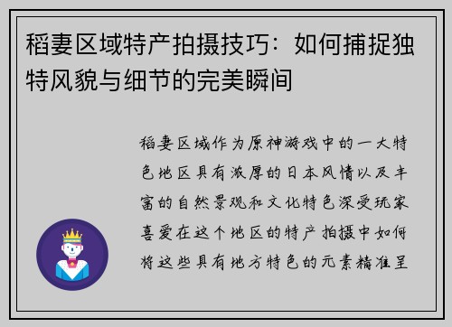 稻妻区域特产拍摄技巧：如何捕捉独特风貌与细节的完美瞬间